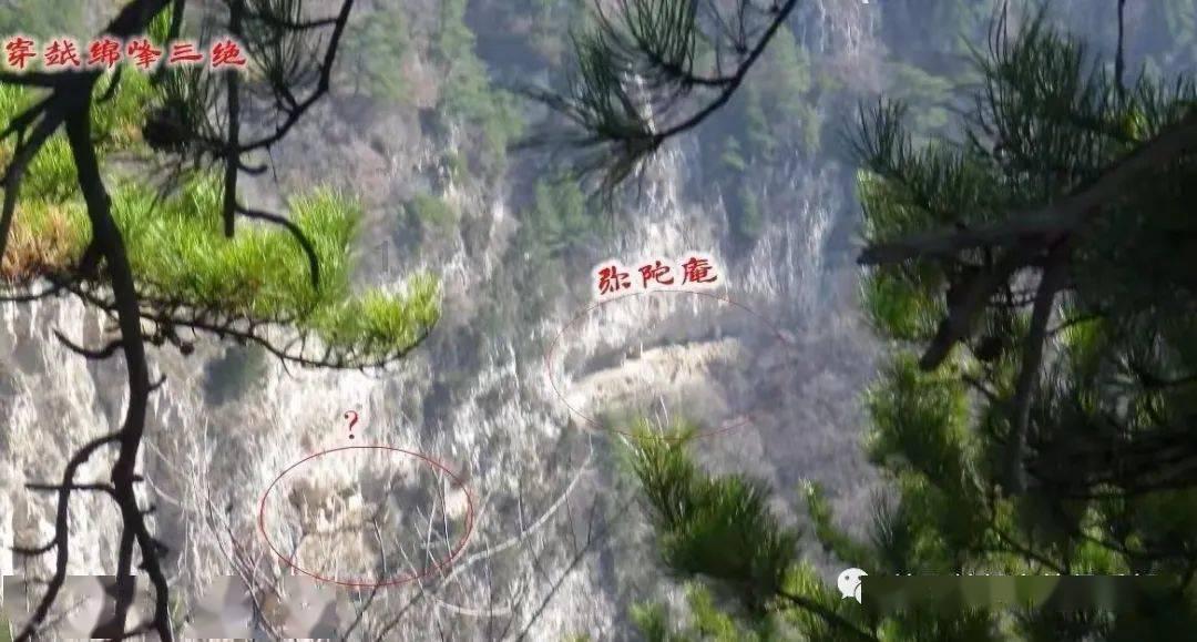 高考完报考时,没有填是否服从调剂有哪些影响?-聪明互动问答平台